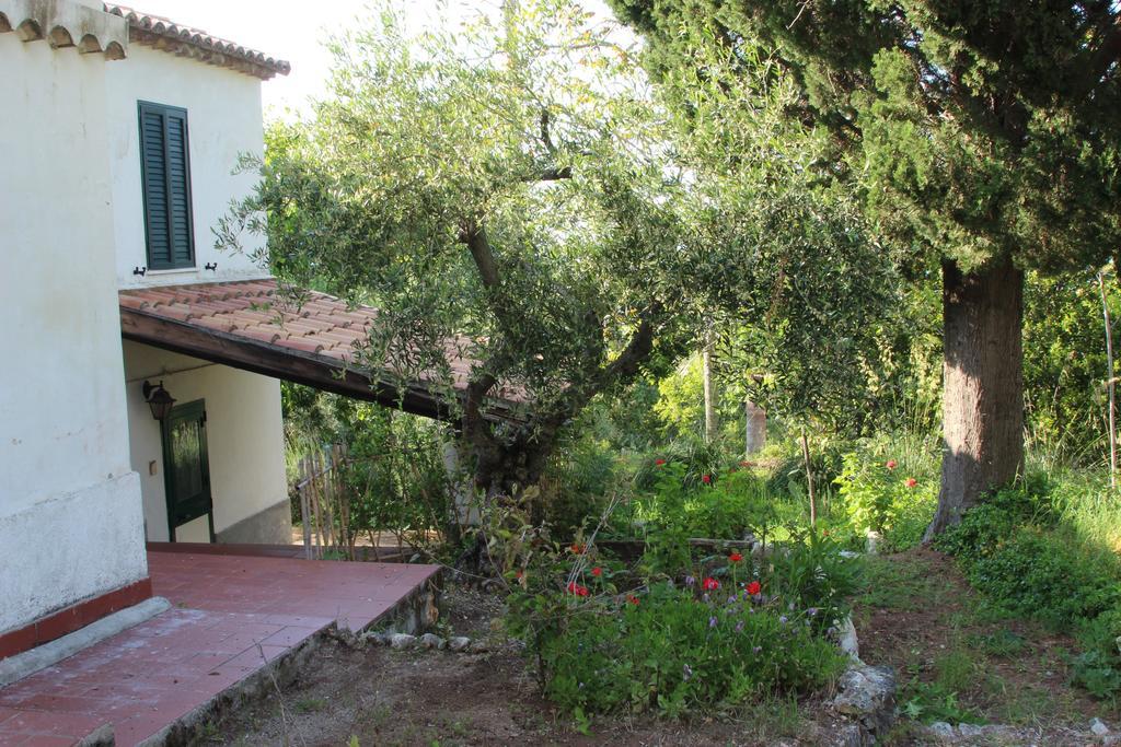Tenuta Conte Ruggero Santa Domenica  Room photo